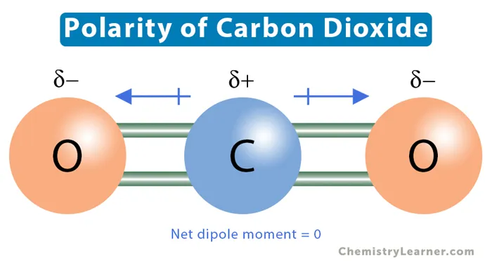 Linear geometry of CO2